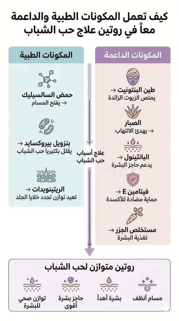 إنفوجراف يوضح كيف تتكامل المكونات الطبية مثل حمض الساليسيليك والريتينويدات مع المكونات الداعمة مثل الألوفيرا والبانثينول في روتين متكامل للتعامل مع حب الشباب